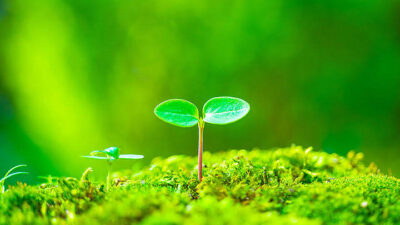 フリーローンの金利はどれくらい？