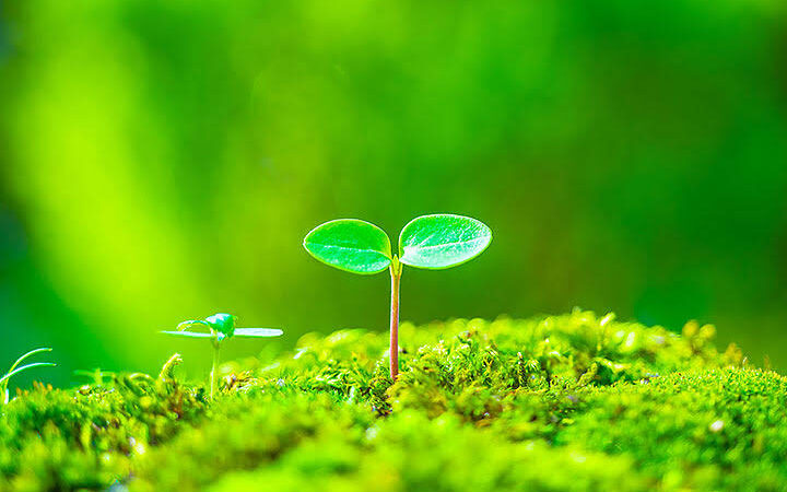 フリーローンの金利はどれくらい？