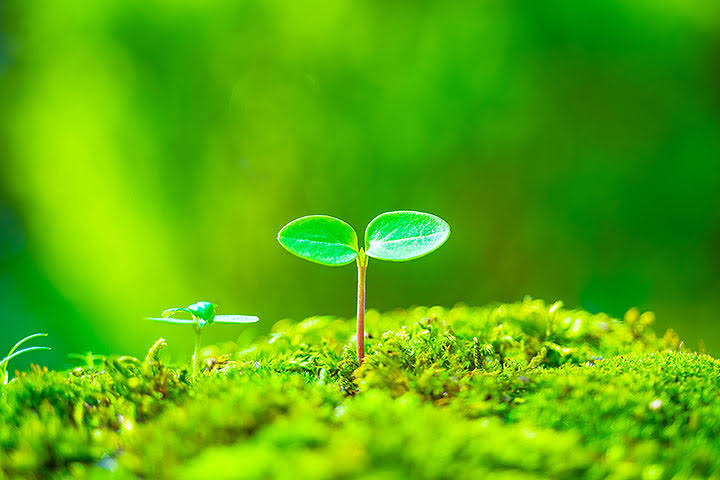 フリーローンの金利はどれくらい？